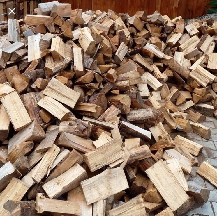 Ofenfertige Buchenscheite in Nahaufnahme