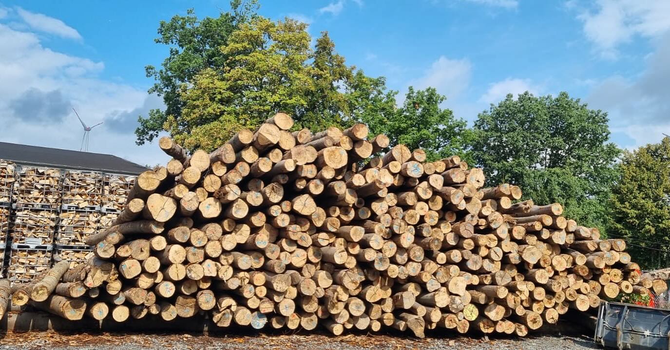 Brennholz am Holzplatz von Holger Wiese in Hessisch Lichtenau (6)